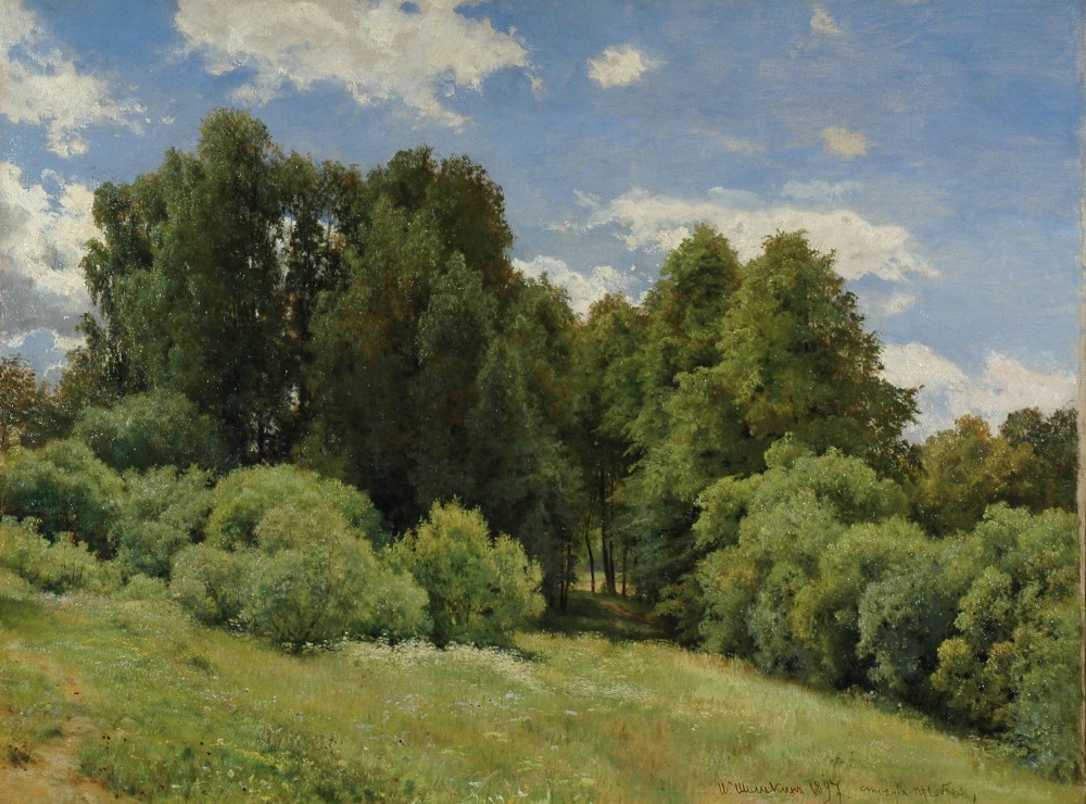 «Полянка» (1897)